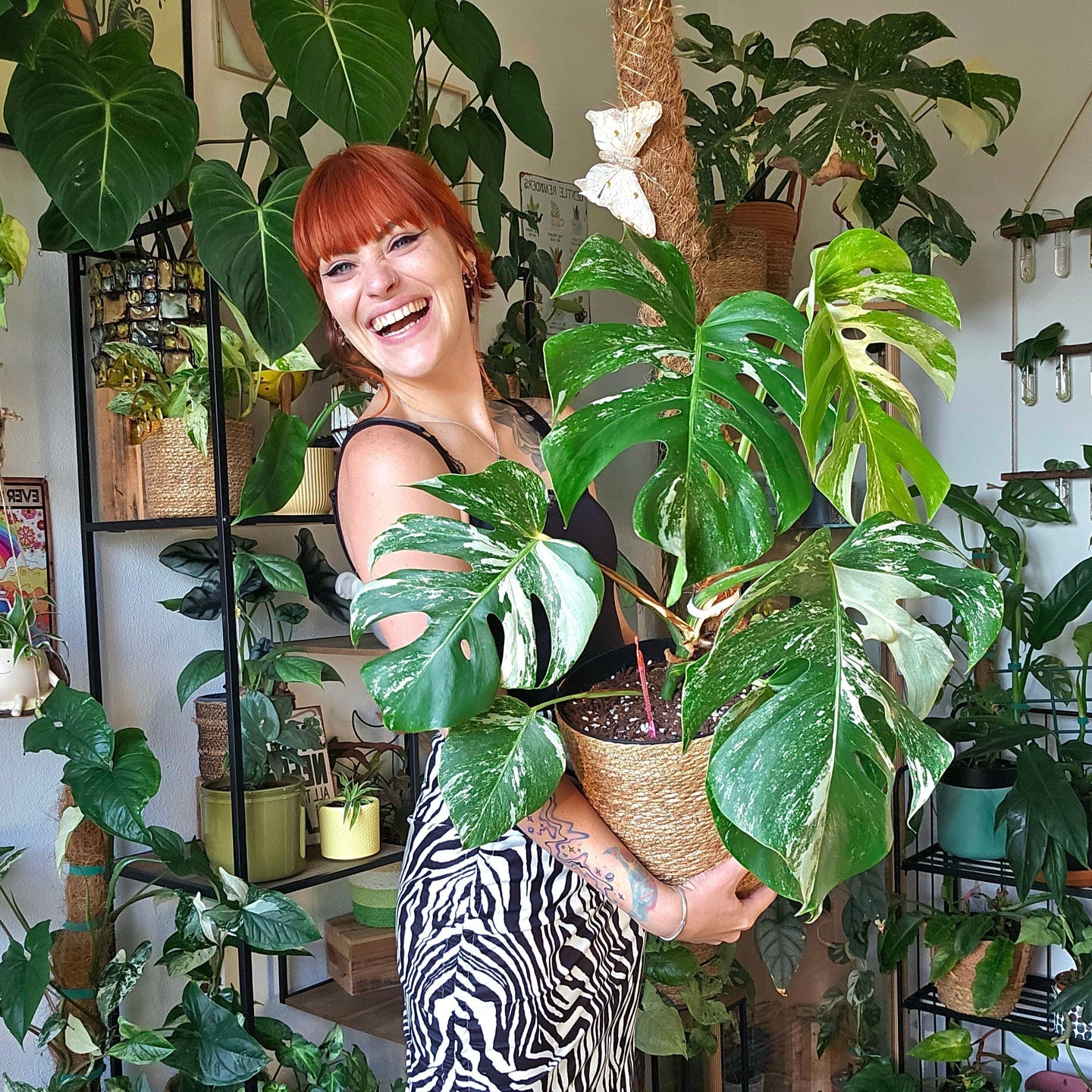 Comment Robbin inspire ses 155 000 abonnés grâce à sa passion pour les plantes