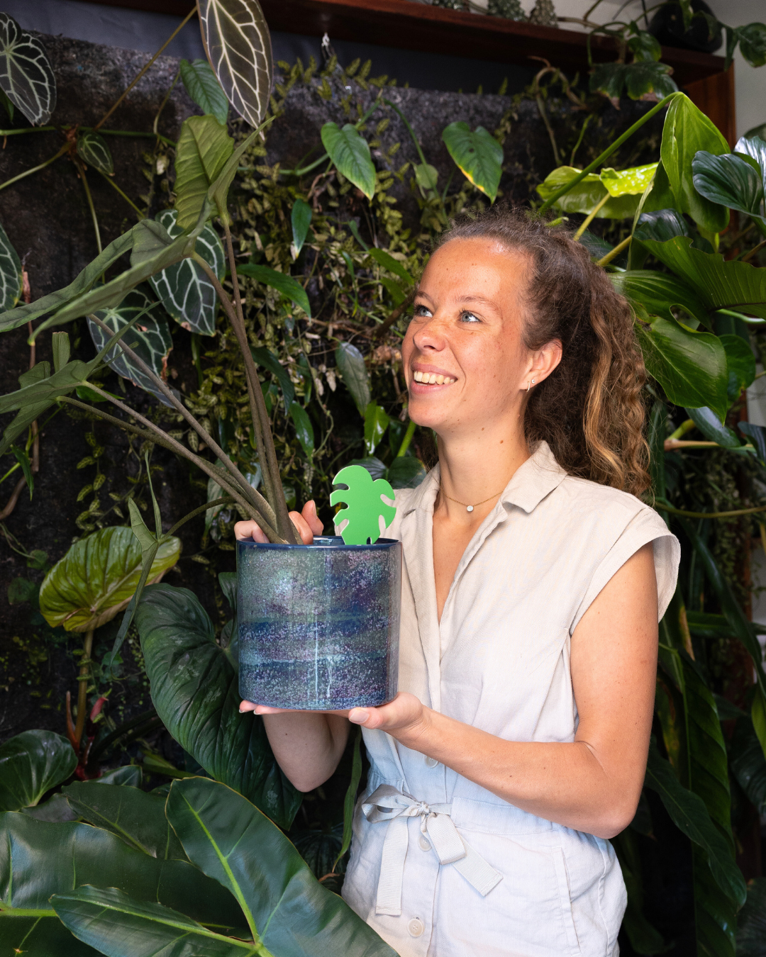 Roofmijten inzetten bij kamerplanten? Volg deze 5 simpele stappen!