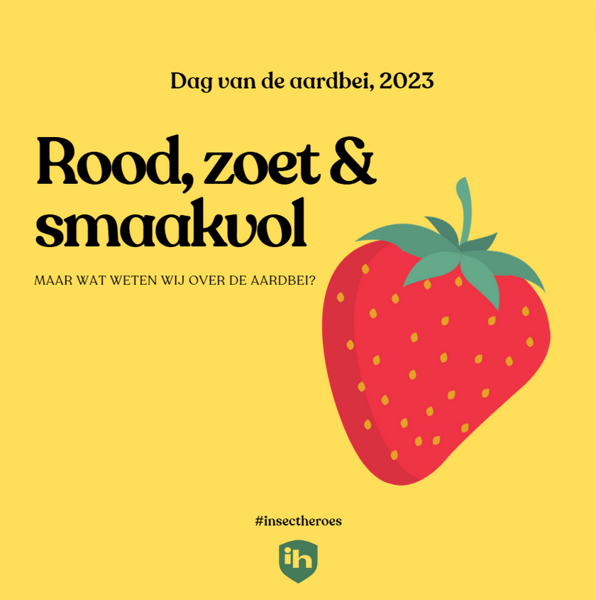 Een blog over de aardbei