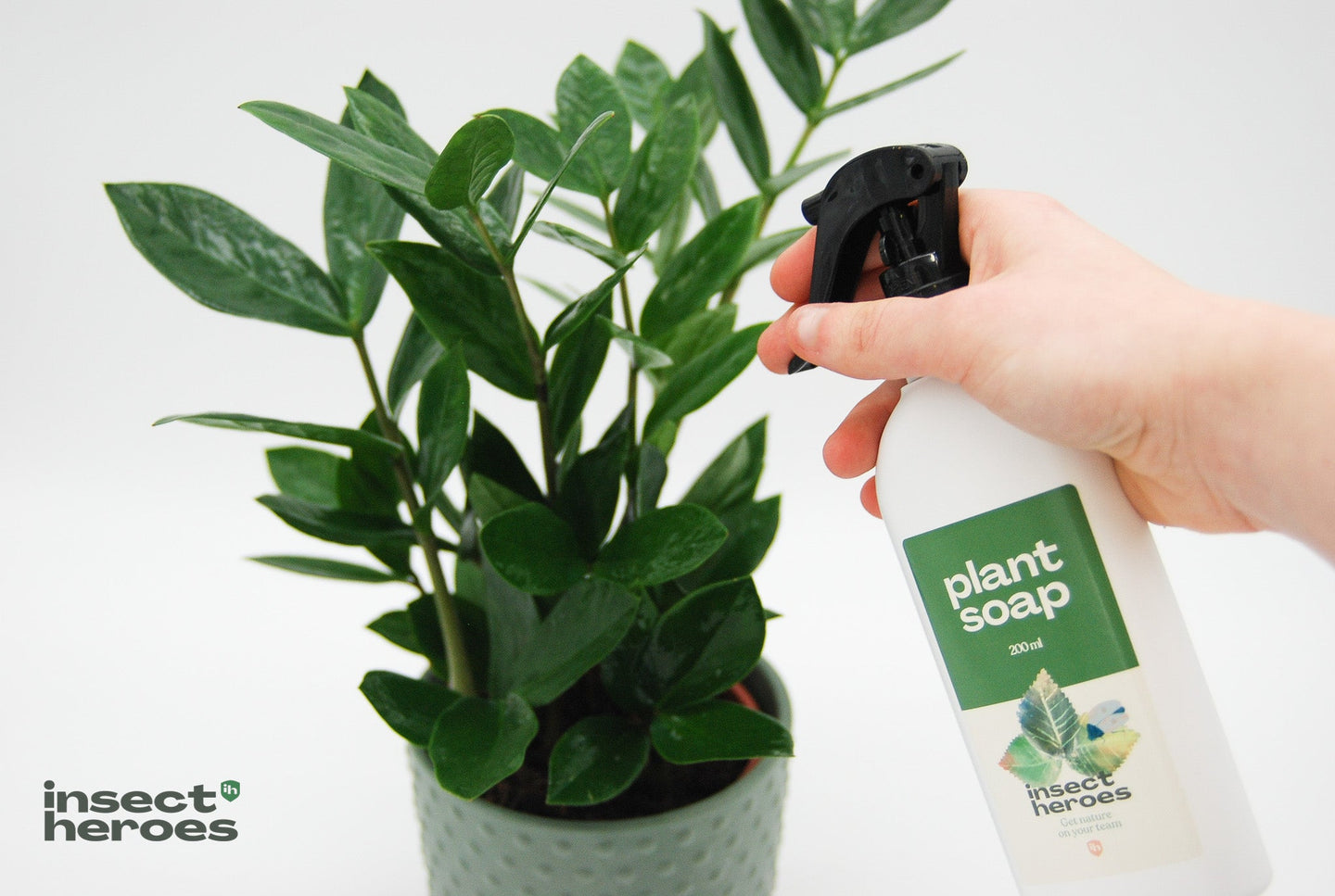 Nettoyer la plante avec le savon Insect Heroes