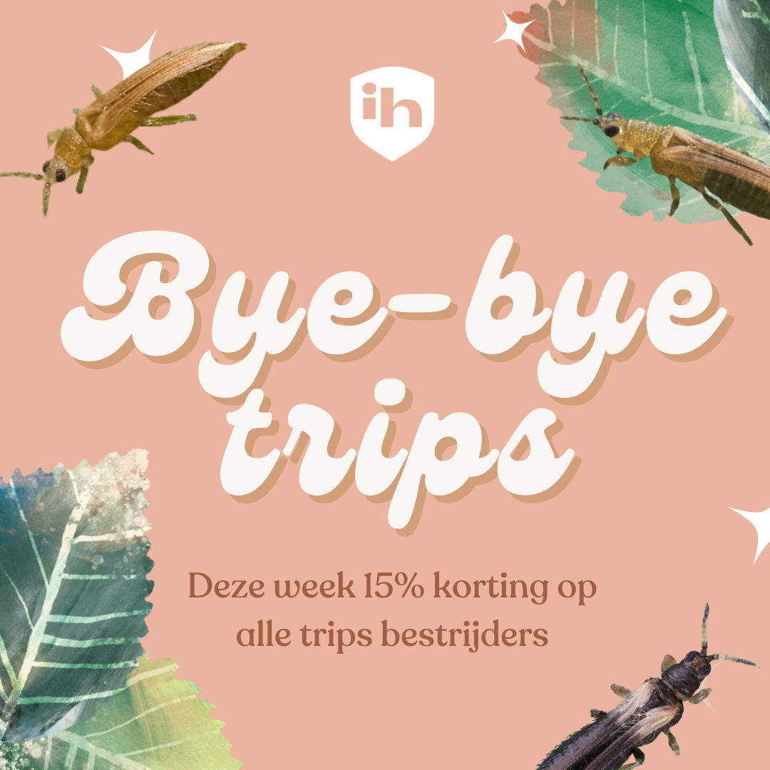 BYE-BYE VOYAGES Semaine de promotion