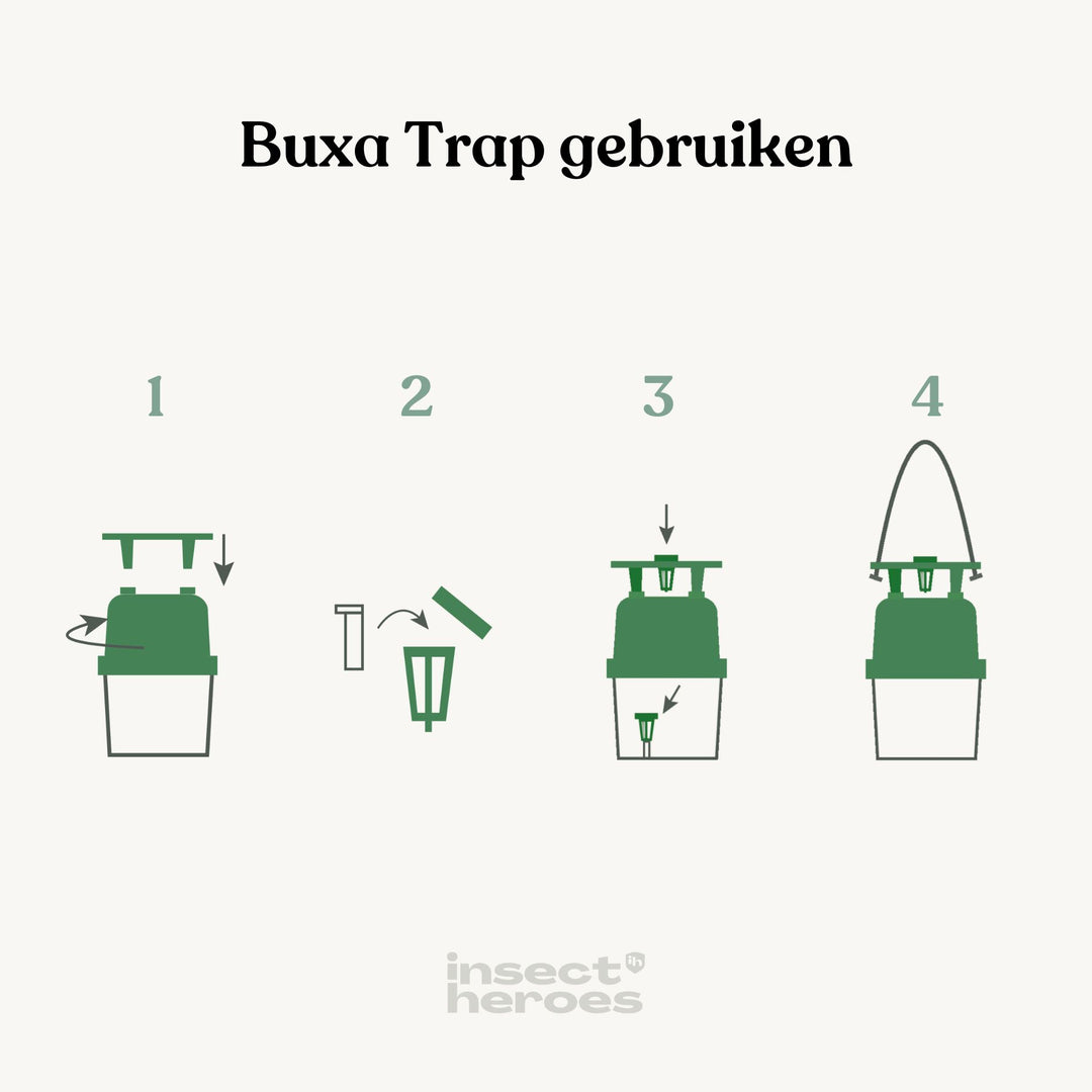 Recharge Buxa - contre la teigne du buis