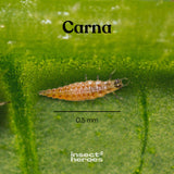 Carna - tegen bladluis
