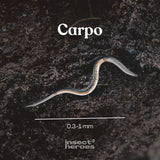 Carpo - tegen buxusmot