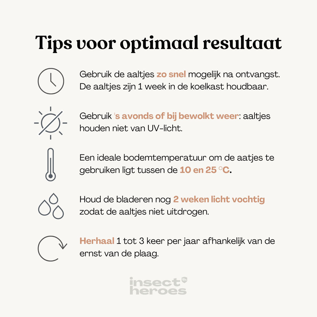 Combi Deal - tegen rouwvliegjes