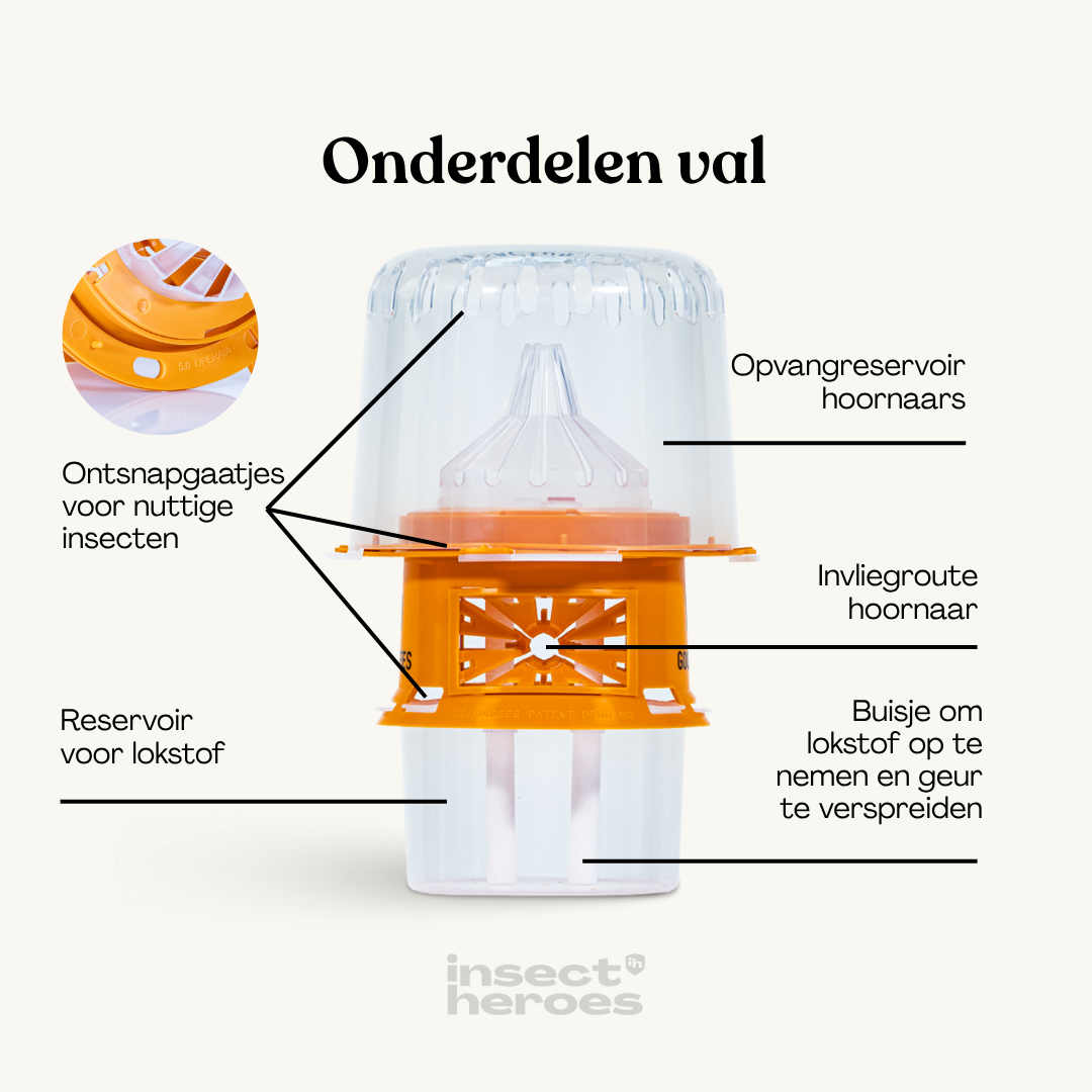 Combi Deal - tegen Aziatische hoornaar