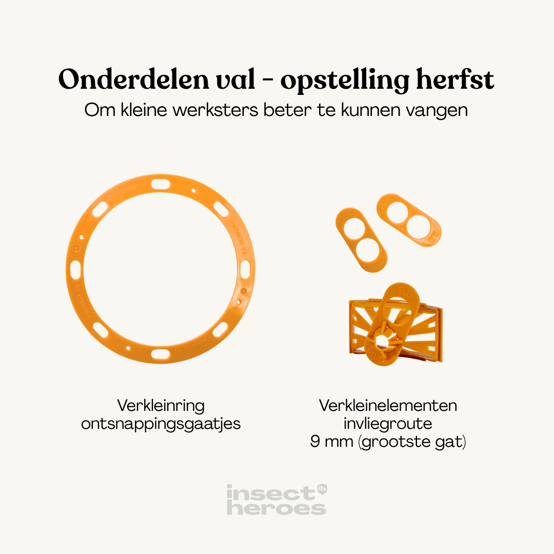 Combi Deal - tegen Aziatische hoornaar