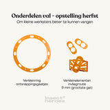 Combi Deal - tegen Aziatische hoornaar