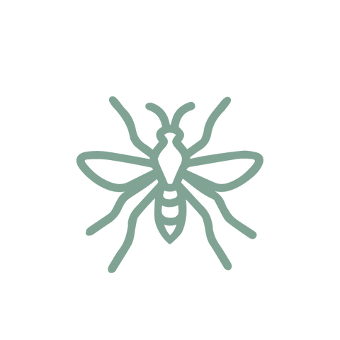 Image 70619479310662