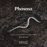 Phasma - contre les escargots