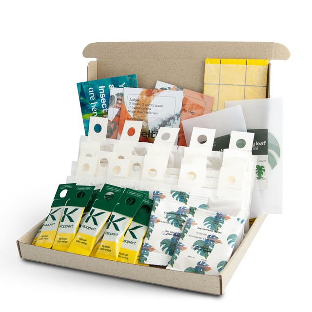 Protect Jungle Deal - Voorkom plagen