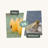 Combi Deal - contre les mites des vêtements