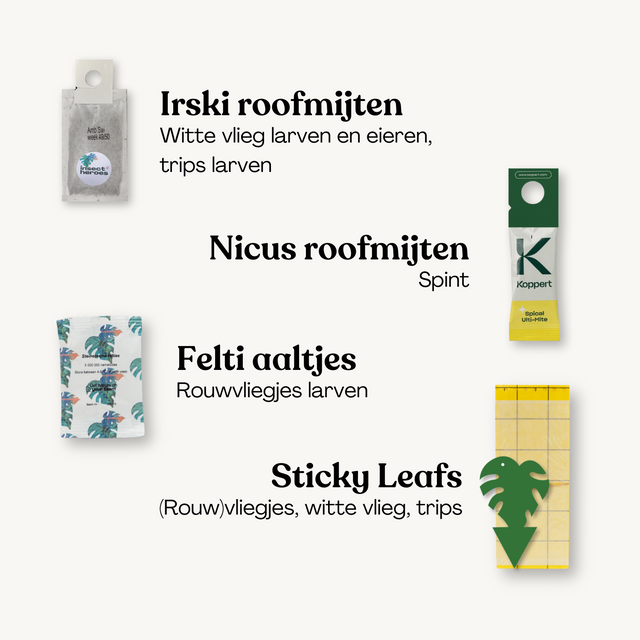 Protect Jungle Deal - Voorkom plagen