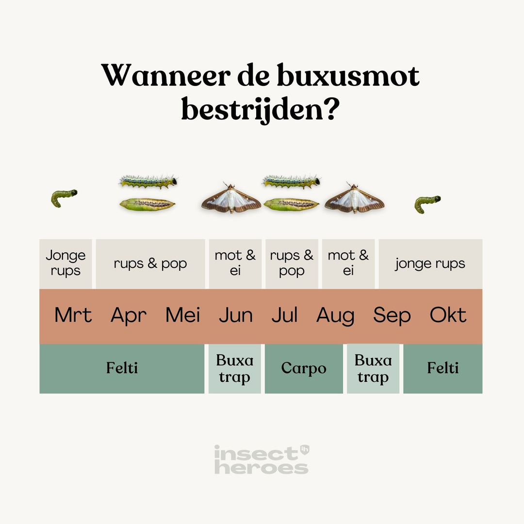 Carpo - contre la teigne du buis