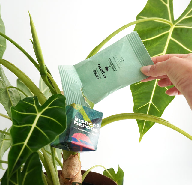 Combi Deal - tegen wolluis