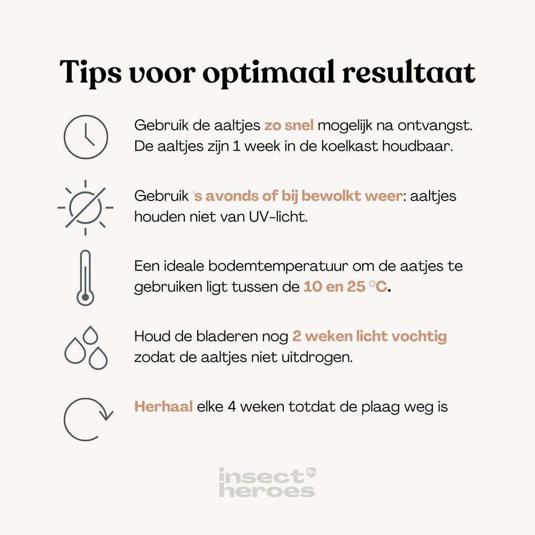 Felti - contre les vestes en cuir