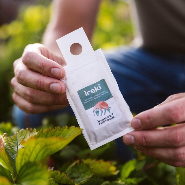 Irski - tegen witte vlieg