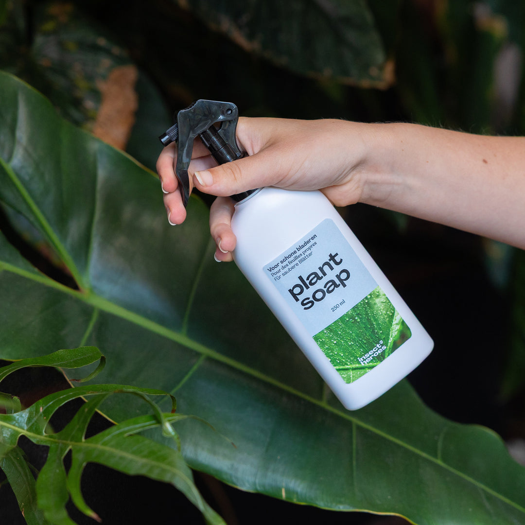 Combi Deal - contre les pucerons