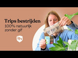 Combi Deal - tegen trips