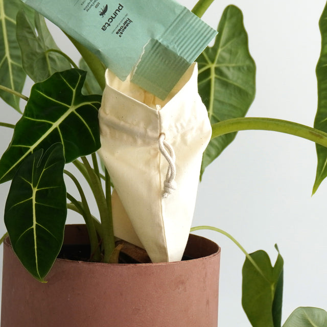 Uitzetzakjes Puncta (3 stuks)